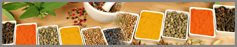 Seasoning and spices manufacturers