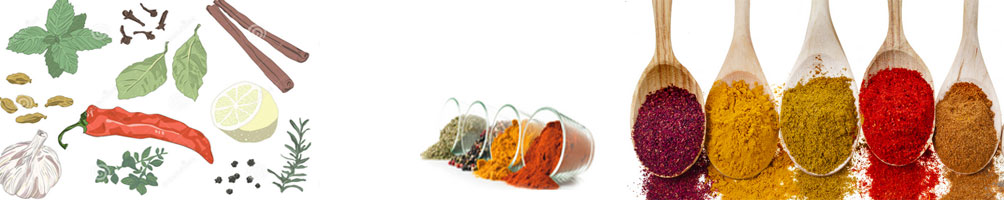 best spices in the world