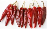 Wholesale Spices Suppliers Wholesale Spices Suppliers