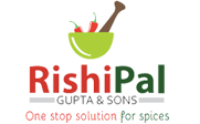 Spices Manufacturer For Ketchup & Pickle