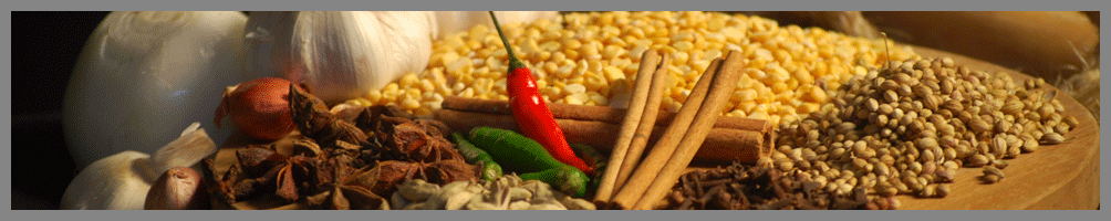 seasoning spices manufacturers 
