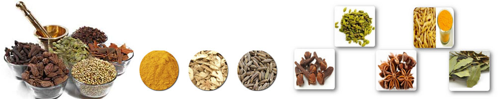 Spices Industry in India