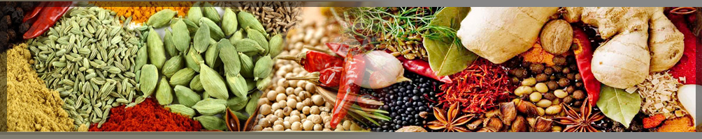 spices manufacturer