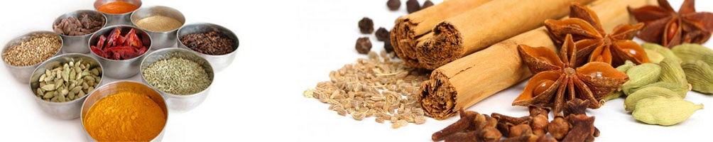 Spices Products Exporters in India