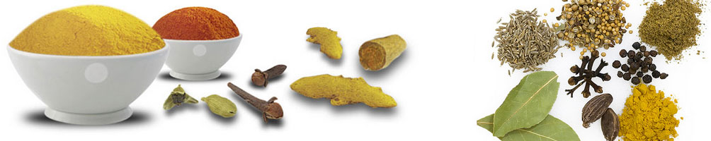Spice Powder Manufacturers